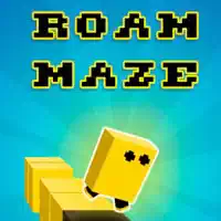 roam_maze ಆಟಗಳು