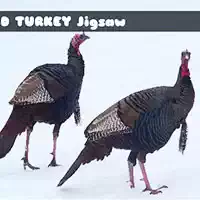 wild_turkey_jigsaw Παιχνίδια