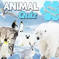动物测验 游戏截图