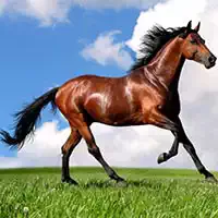Cavalos De Quebra-Cabeça De Animais captura de tela do jogo