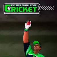ક્રિકેટ ફિલ્ડર ચેલેન્જ ગેમ |