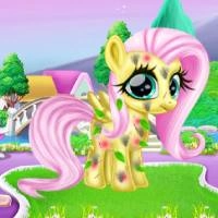 little_pony_caretaker Games