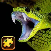 snake_puzzle_challenge Oyunlar