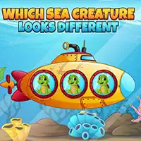 which_sea_creature_looks_different Trò chơi