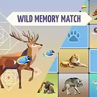 wild_memory Játékok
