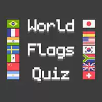 Dünya Bayrakları Testi oyun ekran görüntüsü