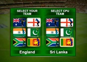 Παιχνίδι Πρόκλησης Cricket Fielder στιγμιότυπο οθόνης παιχνιδιού